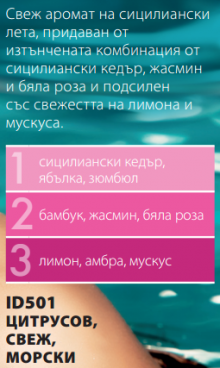 Мъжки парфюм "Sandago" Classic